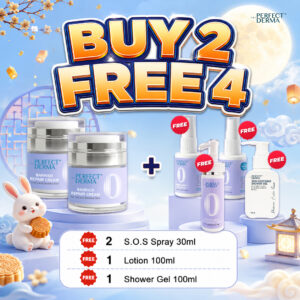 Mid-Autumn Mega Flash Sale【BUY 2 FREE 4】